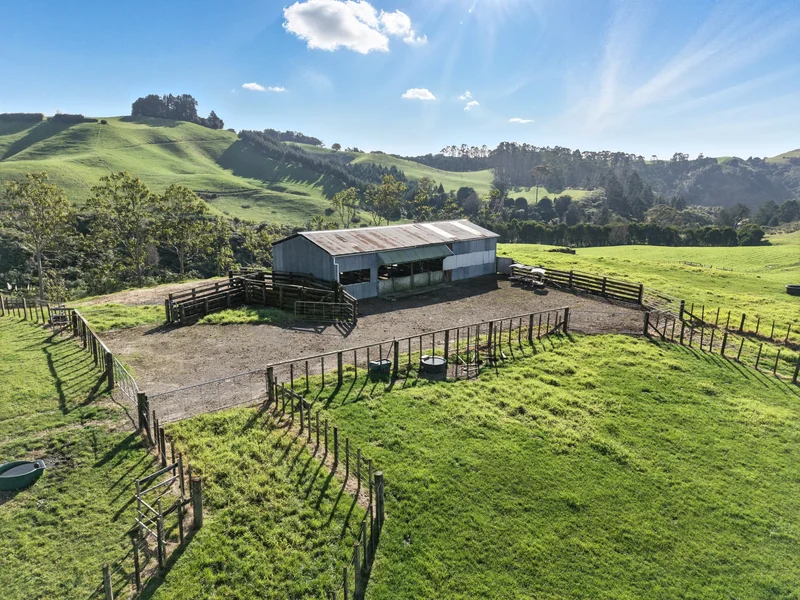 502E Reid Road, Papamoa 3187, New Zealand, Papamoa, Bay of Plenty, New Zealand. - Photo 19