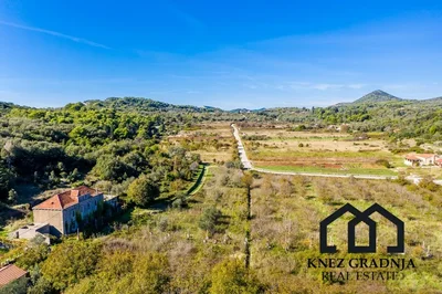 Thumbnail 40
