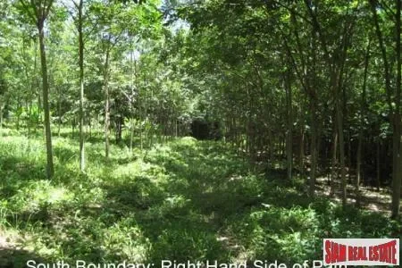 Luxury Resort Property with a Magnificent View of Phang Nga Bay.