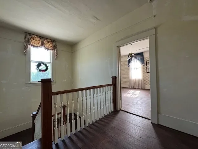 Lexington, Georgia, United States. - Photo 32
