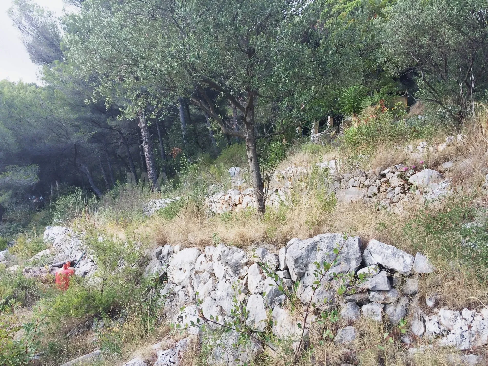 Beausoleil, Provence-Alpes-Côte d'Azur, France. - Photo 2