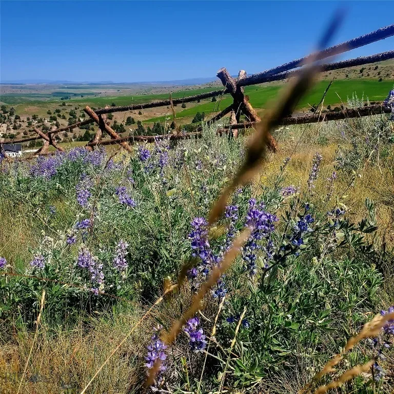 478 Pacer Landing, Manhattan, Montana, United States. - Photo 12