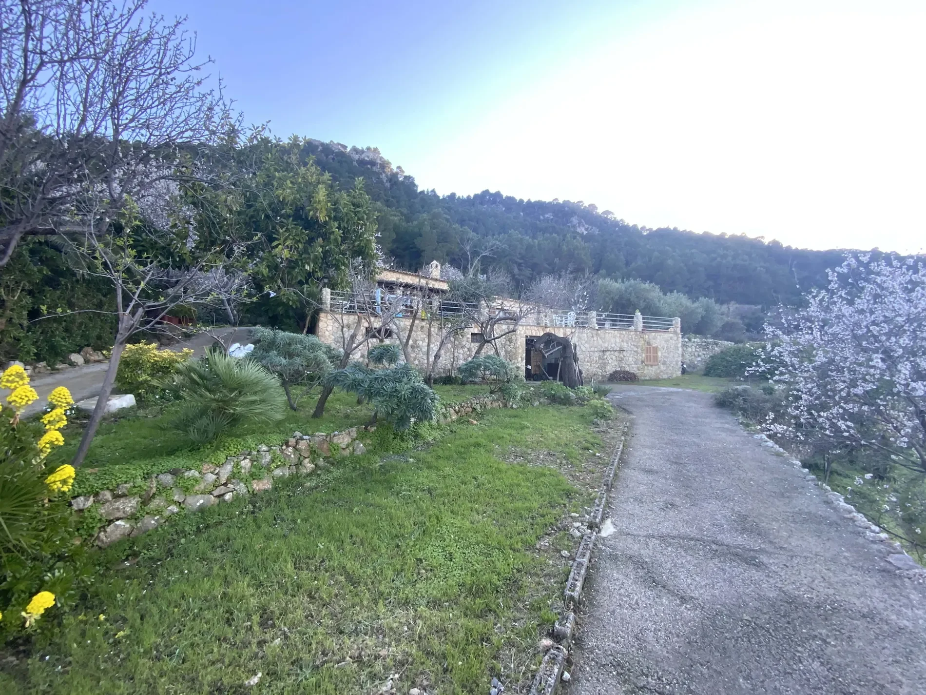Banyalbufar, Mallorca, Banyalbufar, Banyalbufar, Balearic Islands, Spain. - Photo 3