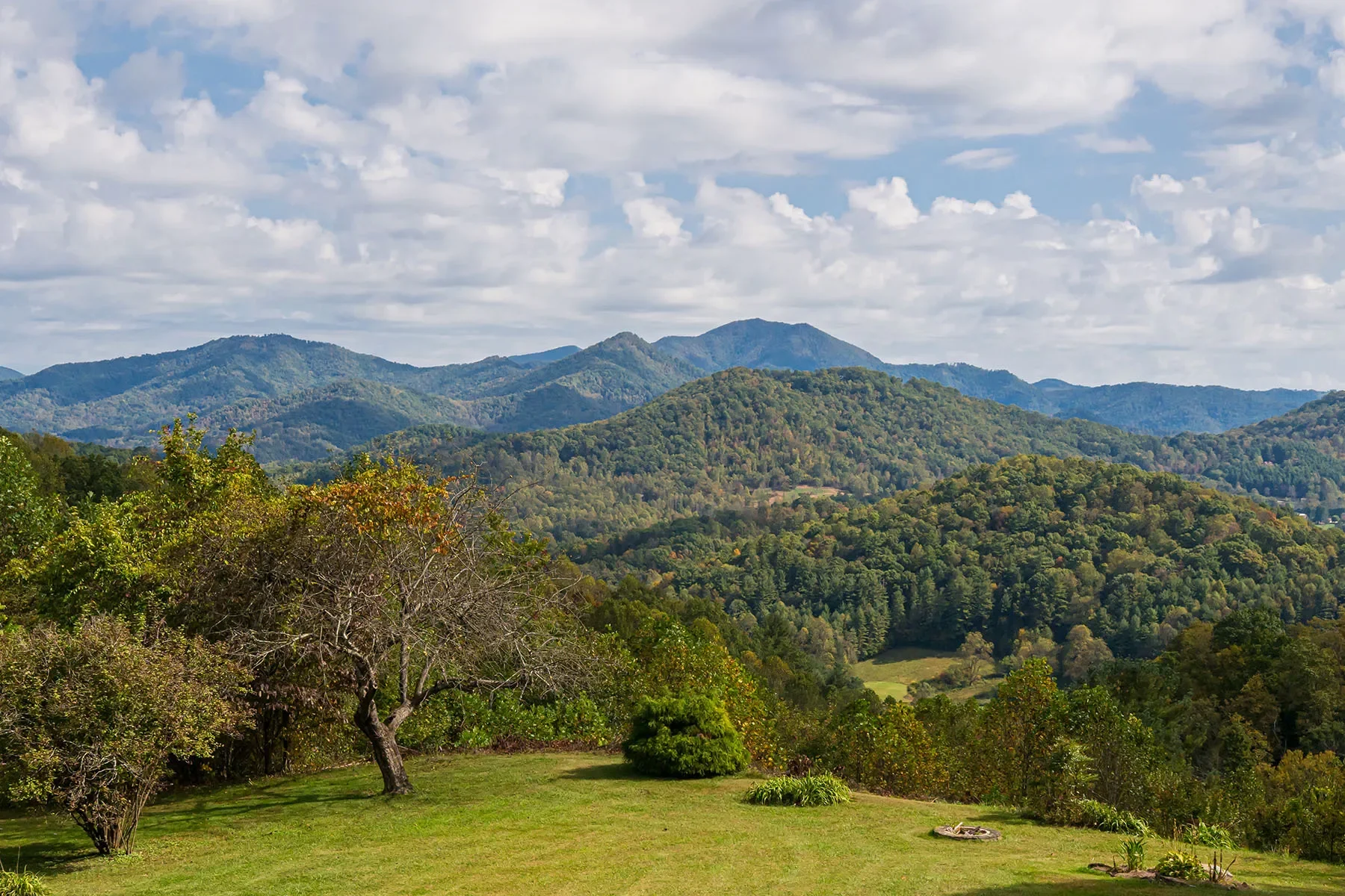 156 Jubilee Way, Waynesville, NC 28785, Waynesville, North Carolina, United States. - Photo 32