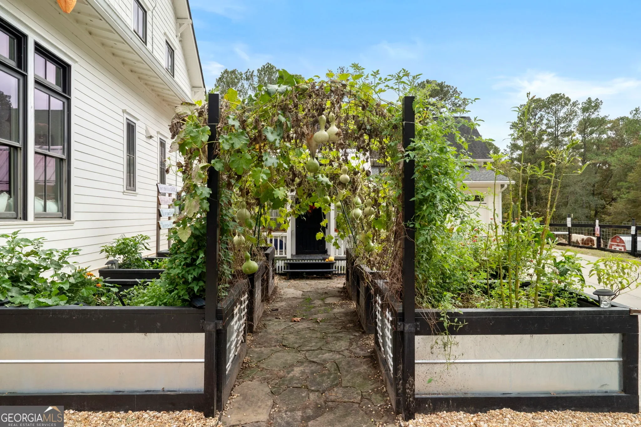Dallas, Georgia, United States. - Photo 48