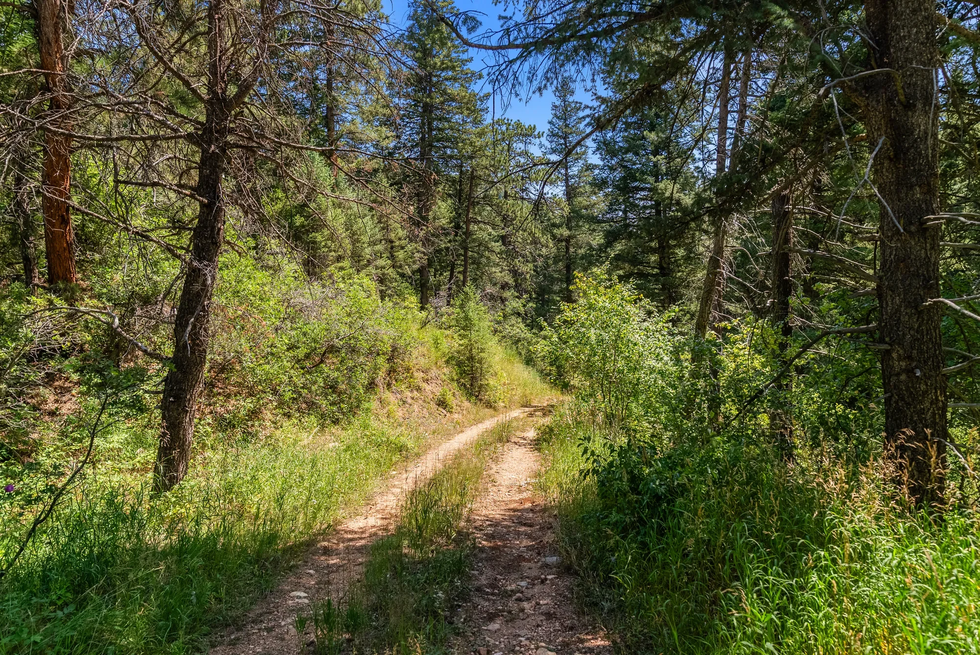 12954 Kuehster Road , Littleton, CO 80127, Littleton, Colorado, United States. - Photo 28