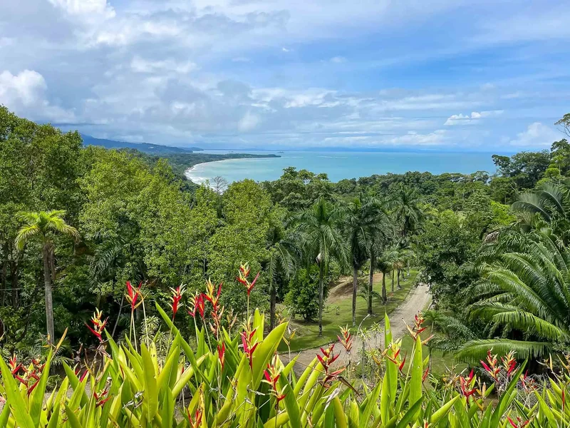 Puntarenas Province, Uvita, Costa Rica, Uvita, Puntarenas Province, Costa Rica. - Photo 6