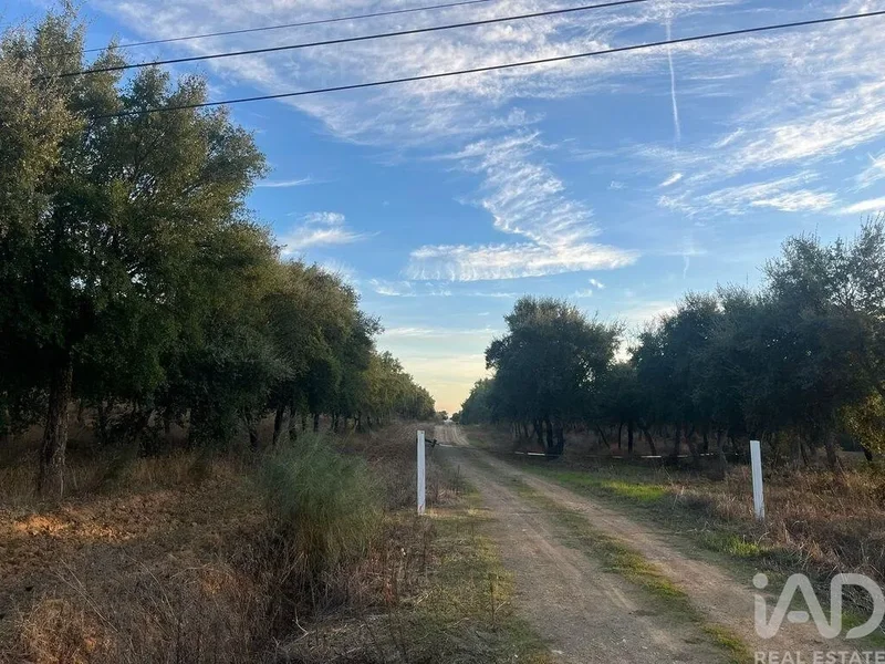 Selmes, Vidigueira, Beja, Vidigueira, Vidigueira, Beja District, Portugal. - Photo 4