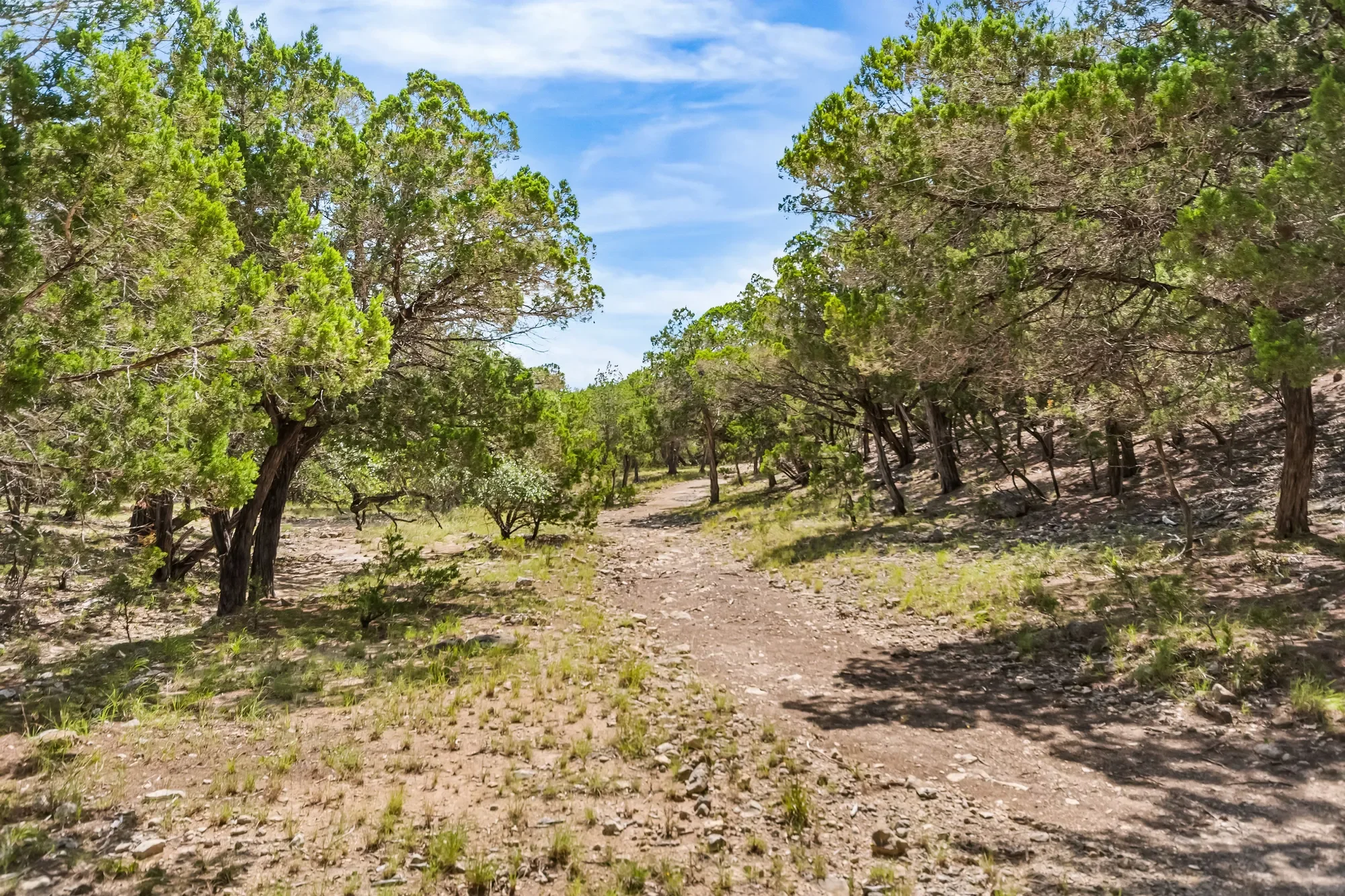 4366 Whartons Dock Road , Bandera, TX 78003, Bandera, Texas, United States. - Photo 45