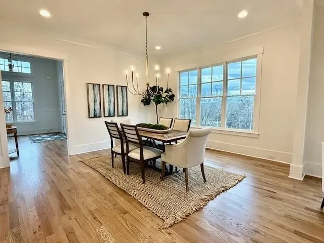 Gallery photo 9