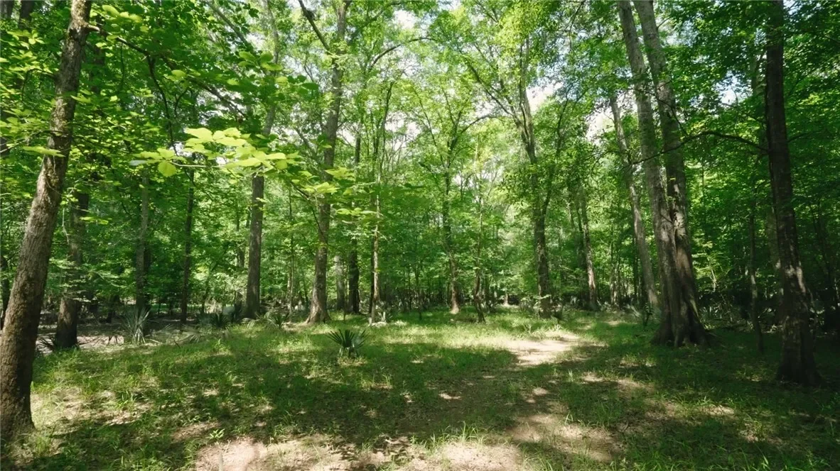0 East River Road, Other, GA 31544, Jacksonville, Georgia, United States. - Photo 7