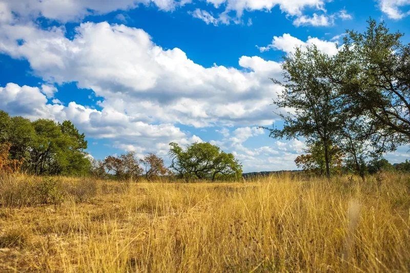 10+ Acres On Historic Creek Rd & Onion Creek | Dripping Springs Tx