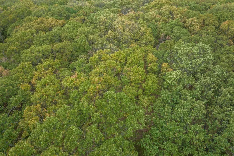 3224 CR 1350, Havana, Kansas, United States. - Photo 47