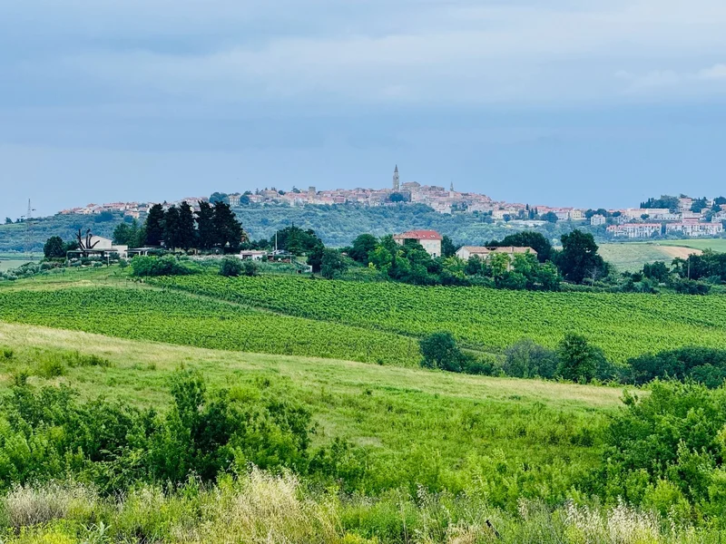 Brtonigla, Croatia, Brtonigla, Istria County, Croatia. - Photo 4