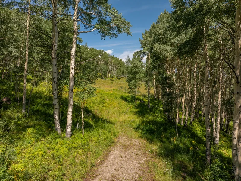 2555 Aspen Mountain Rd , Crested Butte, CO 81224, Crested Butte, Colorado, United States. - Photo 23