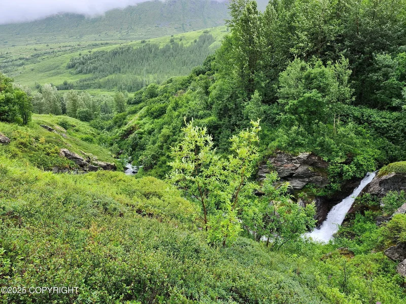 Mile 18 Willow-Fishhook Road, Willow, AK 99688, Willow, Alaska, United States. - Photo 25