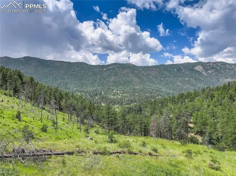 6085 Wellington Road, Cascade, CO 80809, Cascade-Chipita Park, Colorado, United States. - Photo 9