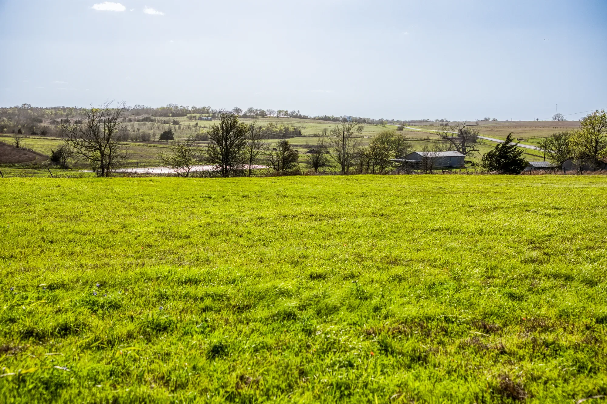 20383 State Highway 159 W , New Ulm, TX 78950-5011, New Ulm, Texas, United States. - Photo 16