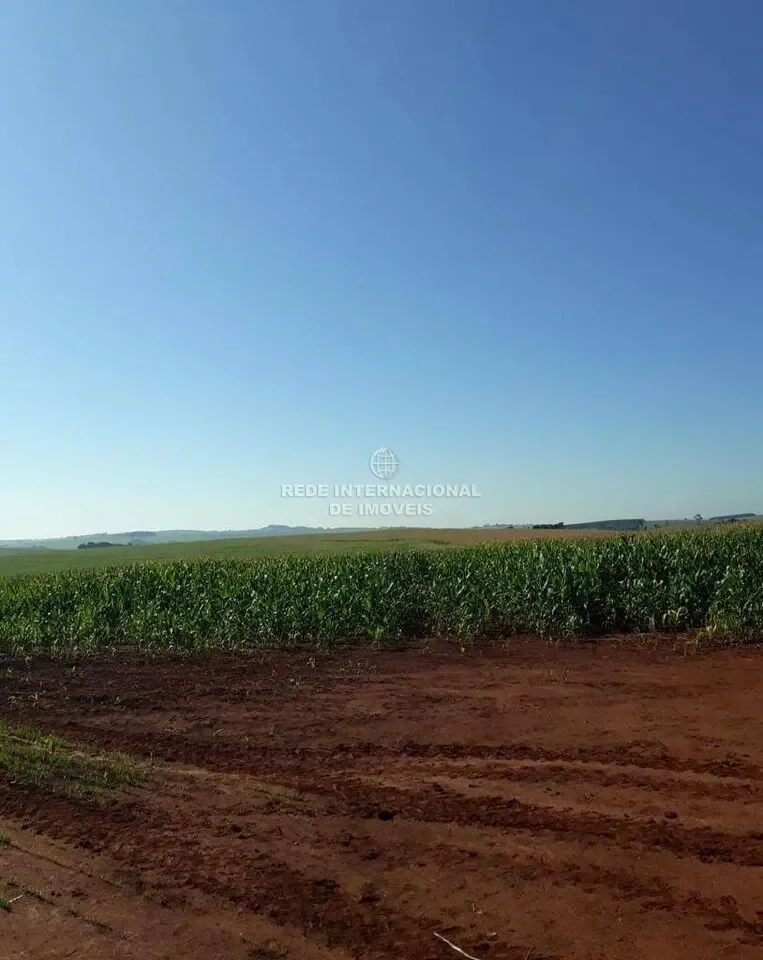 Itaberá, State of São Paulo, Brazil. - Photo 14
