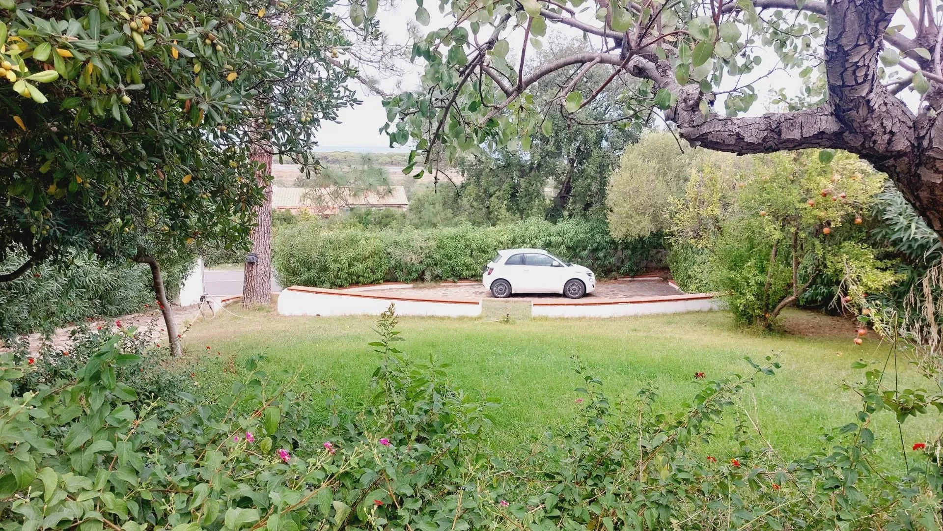 Gallery photo 10