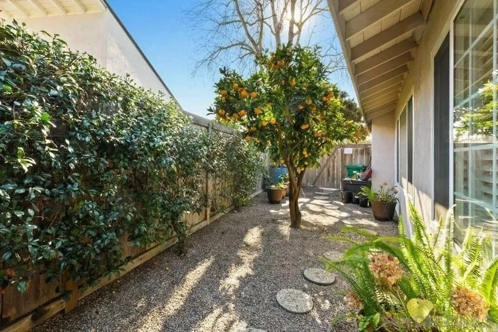 3868 Avenida Feliz, Rancho Santa Fe, California, United States. - Photo 11