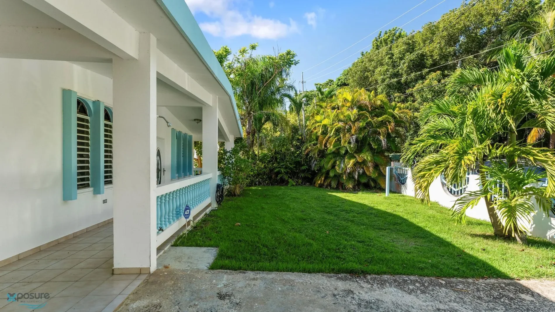Gallery photo 6