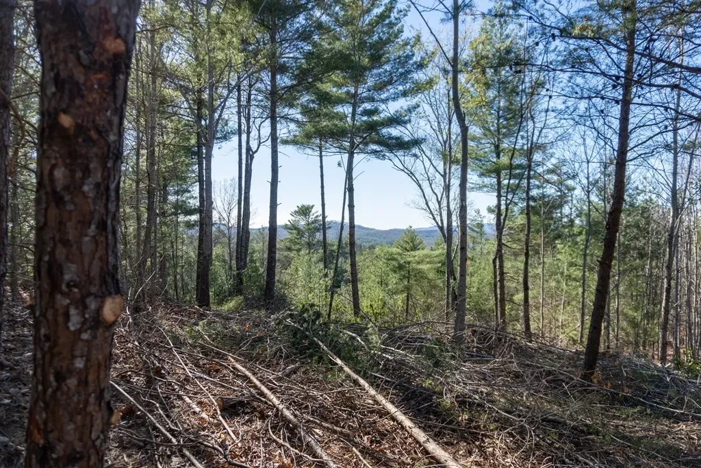 41AC Loving Road, Blairsville, Georgia, United States. - Photo 4