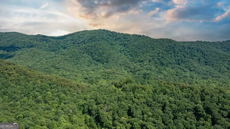 51+ ACRE Mountain Cove Way #1-8, Cherry Log, GA 30522, Cherry Log, Georgia, United States. - Photo 28