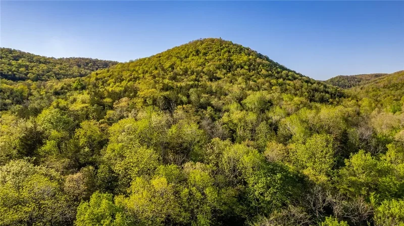 4103 River Road, AR 72540, Guion, Arkansas, United States. - Photo 57