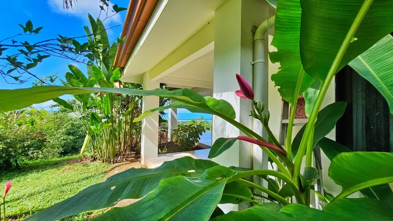 Whale Tail Grandview Villas, Uvita, Puntarenas Province, Costa Rica. - Photo 11