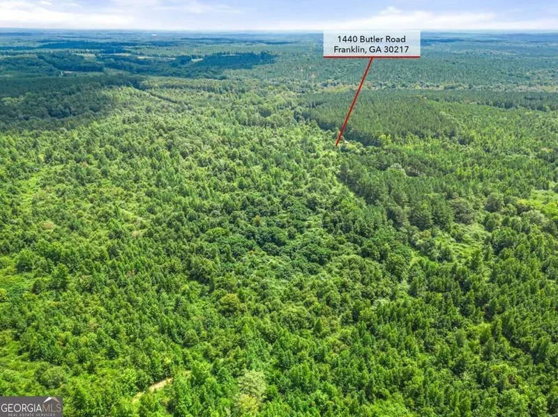 Franklin, Georgia, United States. - Photo 25