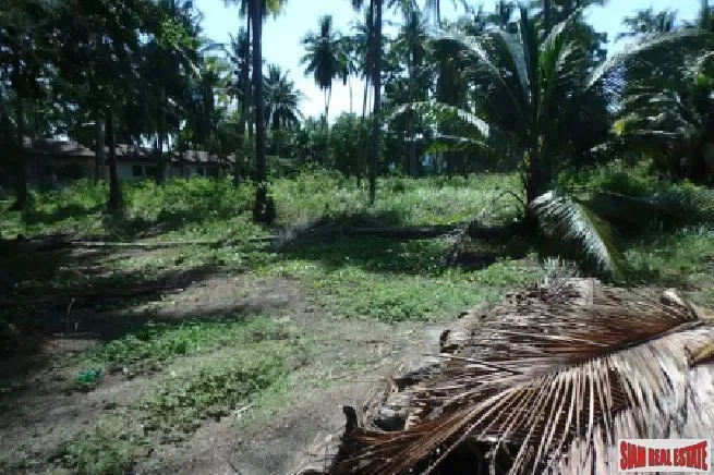 Surat Thani,, Koh Samui, Surat Thani, Thailand. - Photo 3