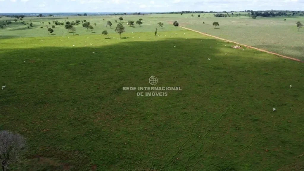 São Miguel do Araguaia, State of Goiás, Brazil. - Photo 5