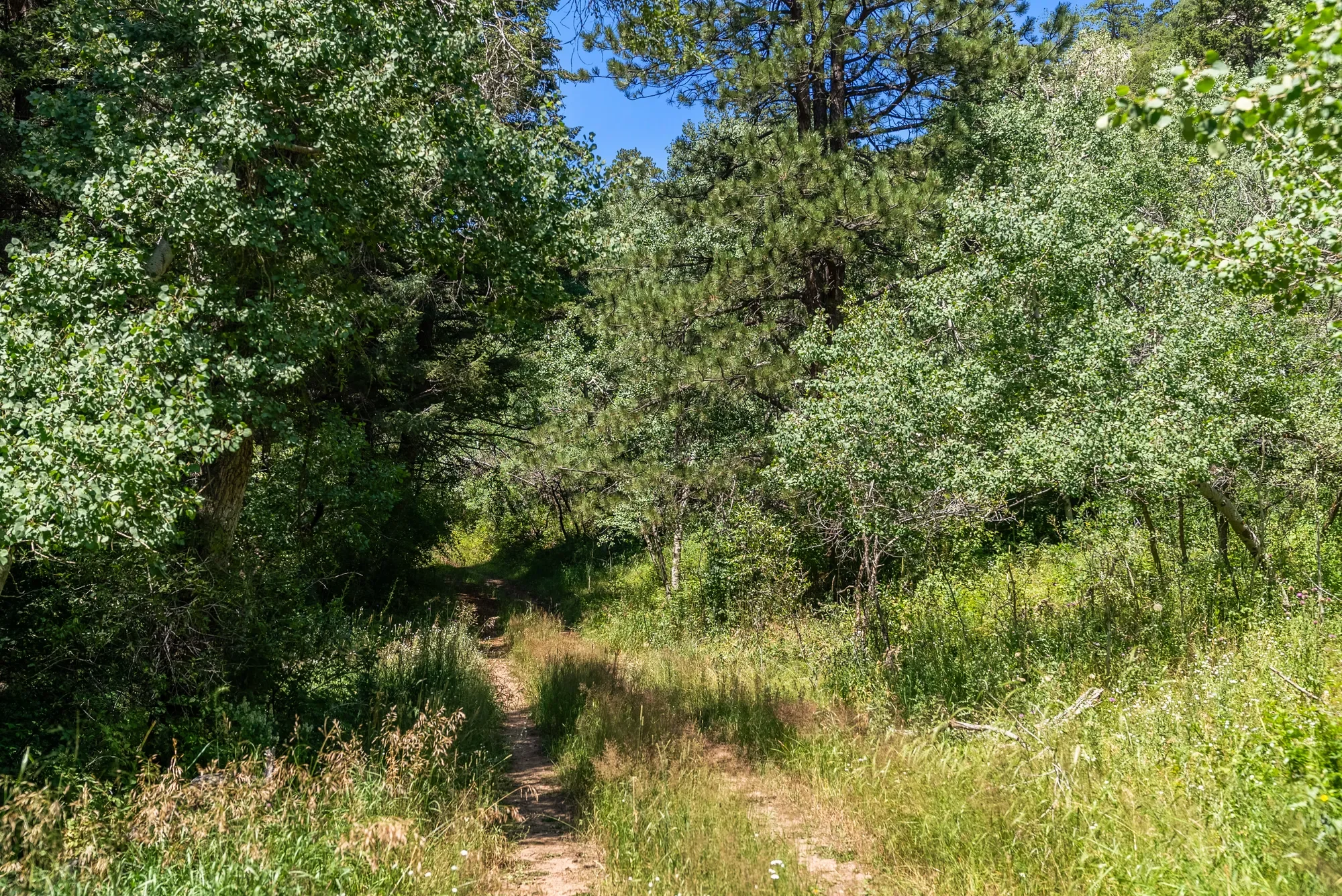 12954 Kuehster Road , Littleton, CO 80127, Littleton, Colorado, United States. - Photo 31