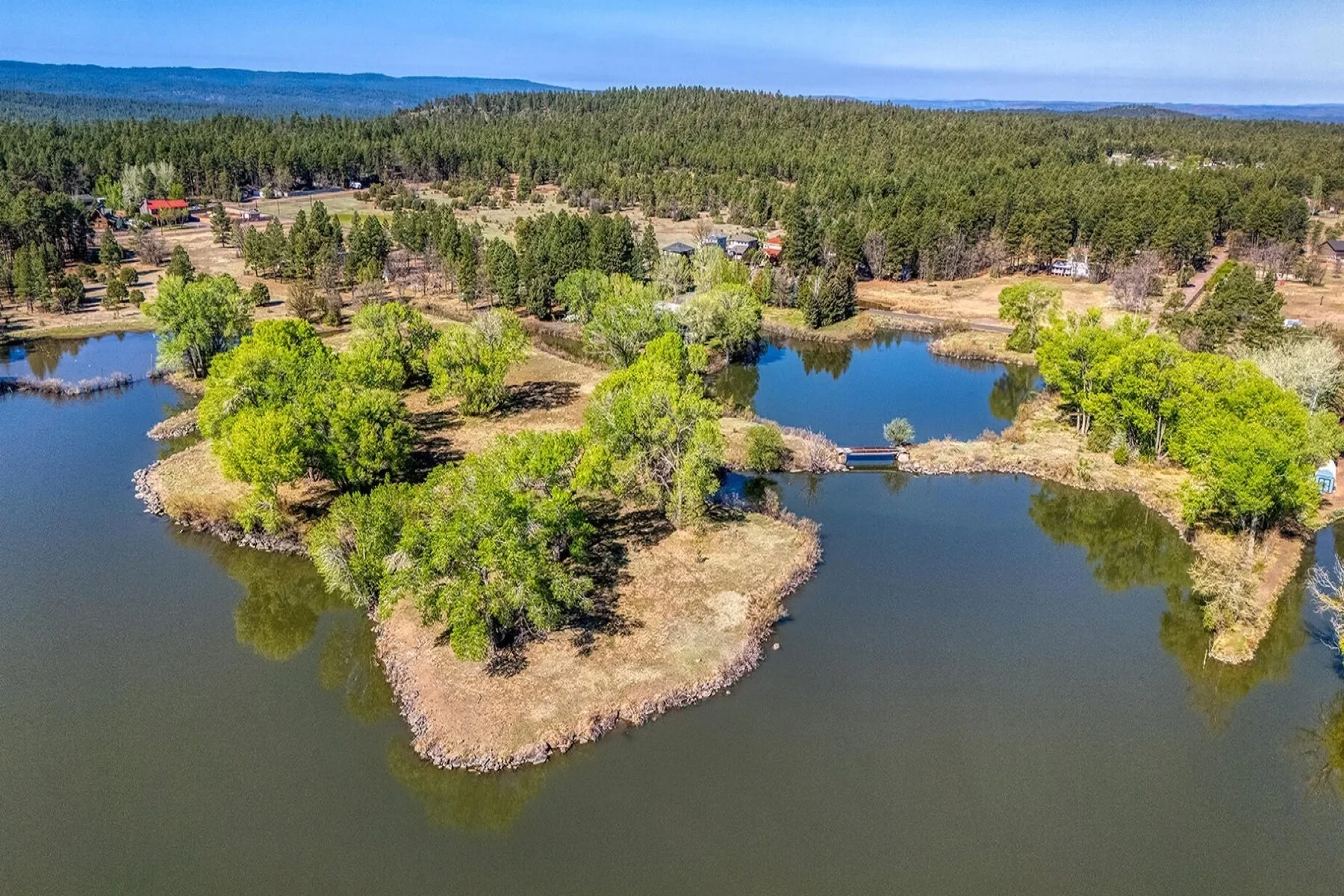 XXXX Larson Road , Pinetop-Lakeside, AZ 85259, Pinetop-Lakeside, Arizona, United States. - Photo 2