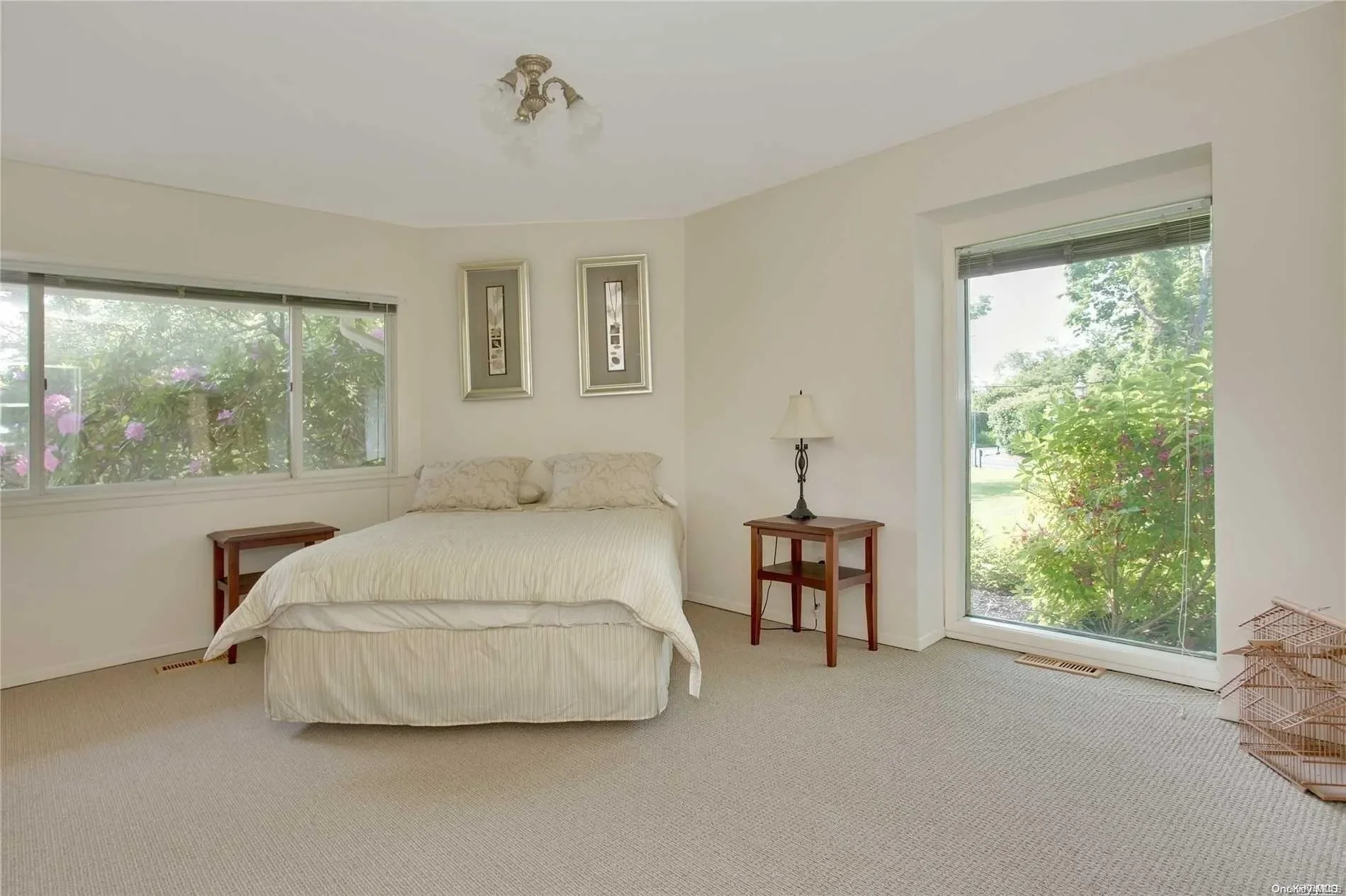 Gallery photo 11