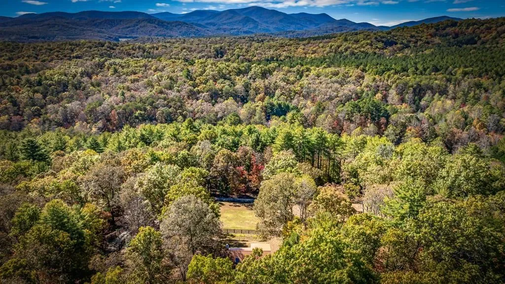 212 Dogpatch Lane, Blue Ridge, Georgia, United States. - Photo 57