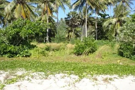 Koh Lanta,, Ko Lanta Yai, Krabi, Thailand. - Photo 3