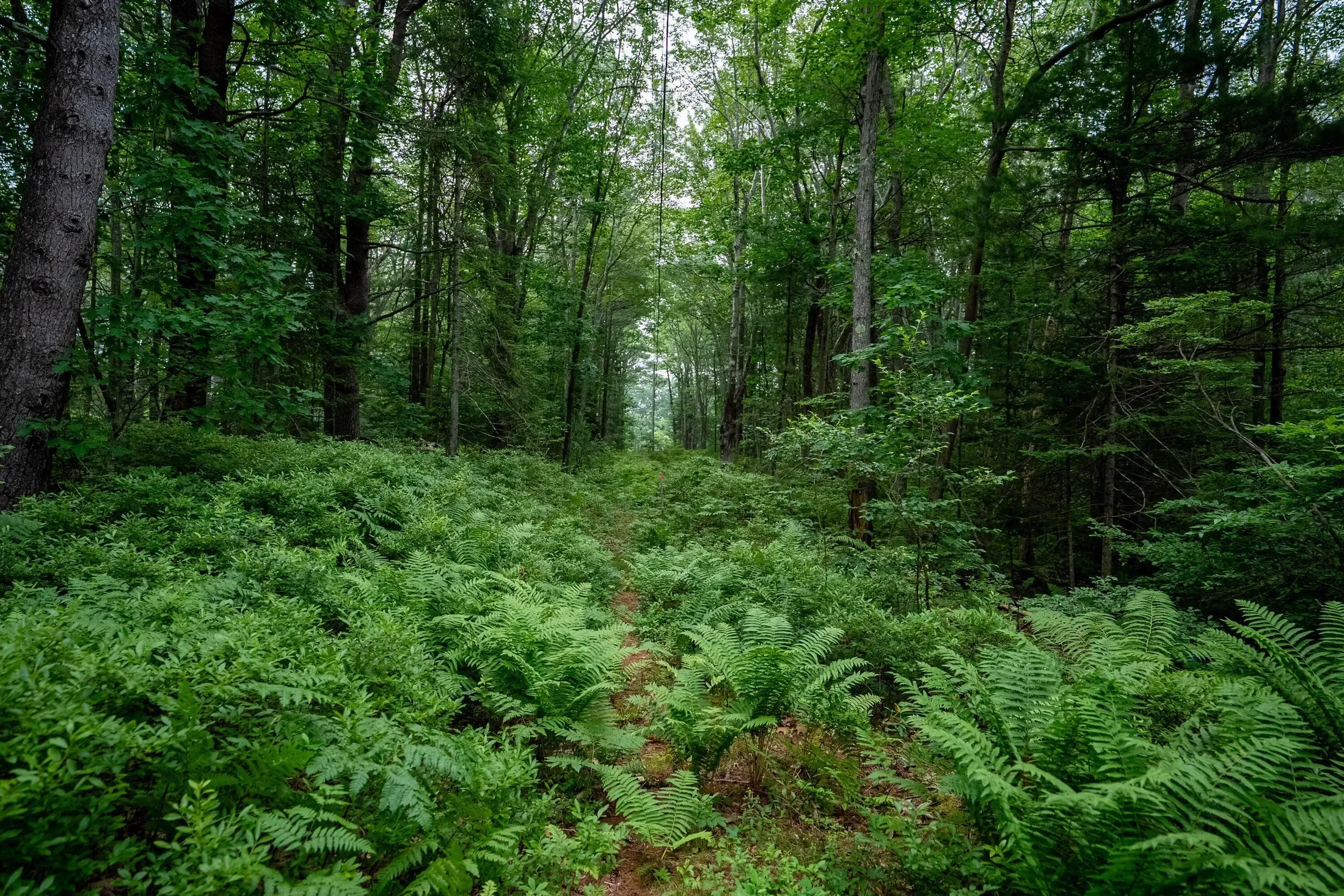 Wildes District Road, Kennebunkport, ME 04046, Kennebunkport, Maine, United States. - Photo 15