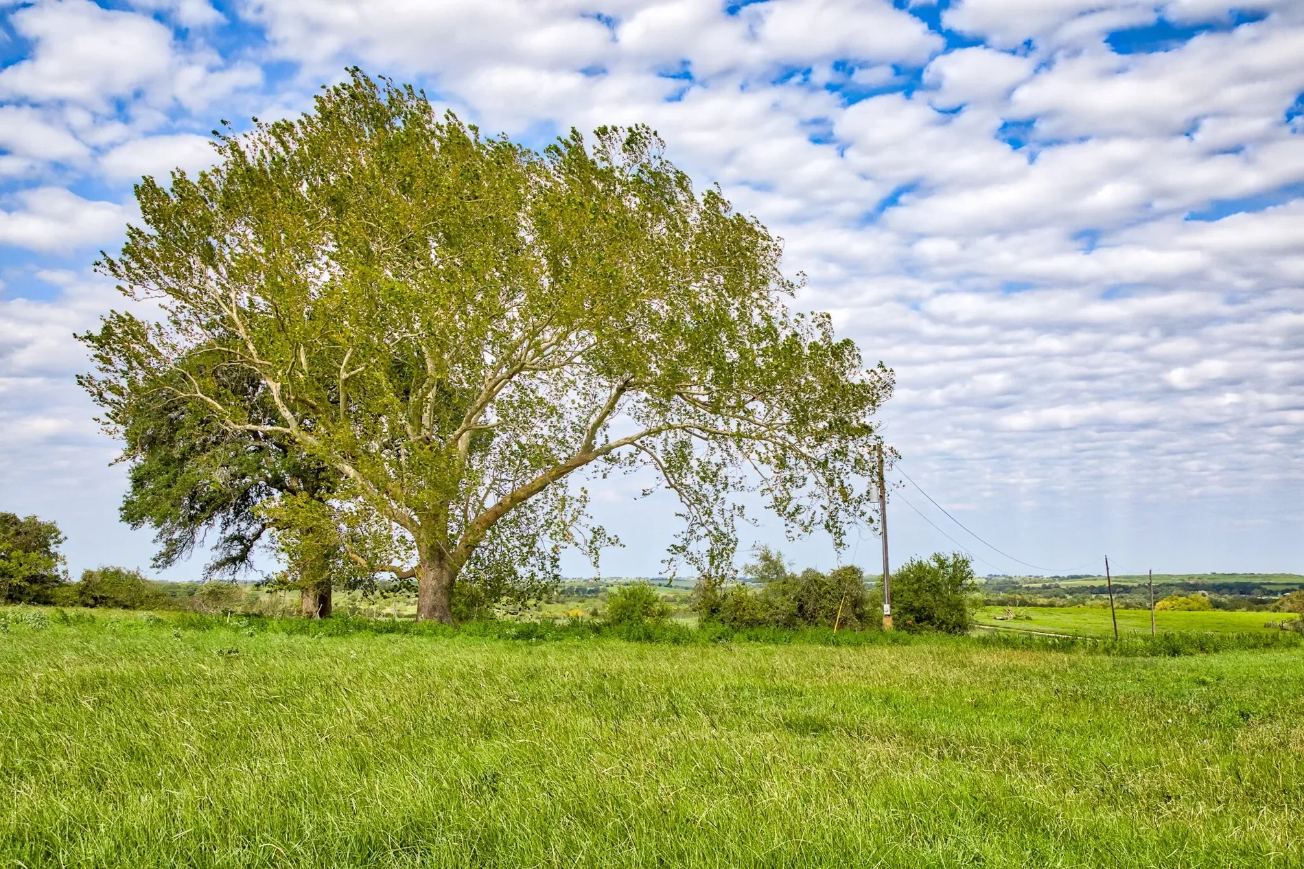 13041 Seydler Rd, Weimar, TX 78962, Weimar, Texas, United States. - Photo 4