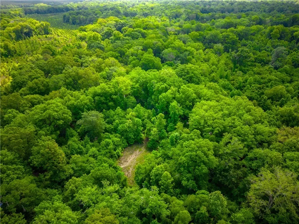 0 East River Road, Other, GA 31544, Jacksonville, Georgia, United States. - Photo 17