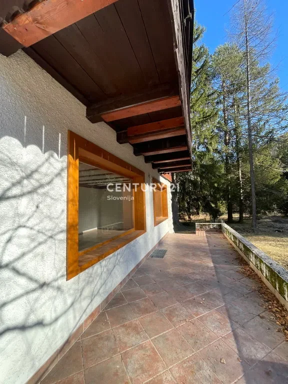 Gallery photo 12