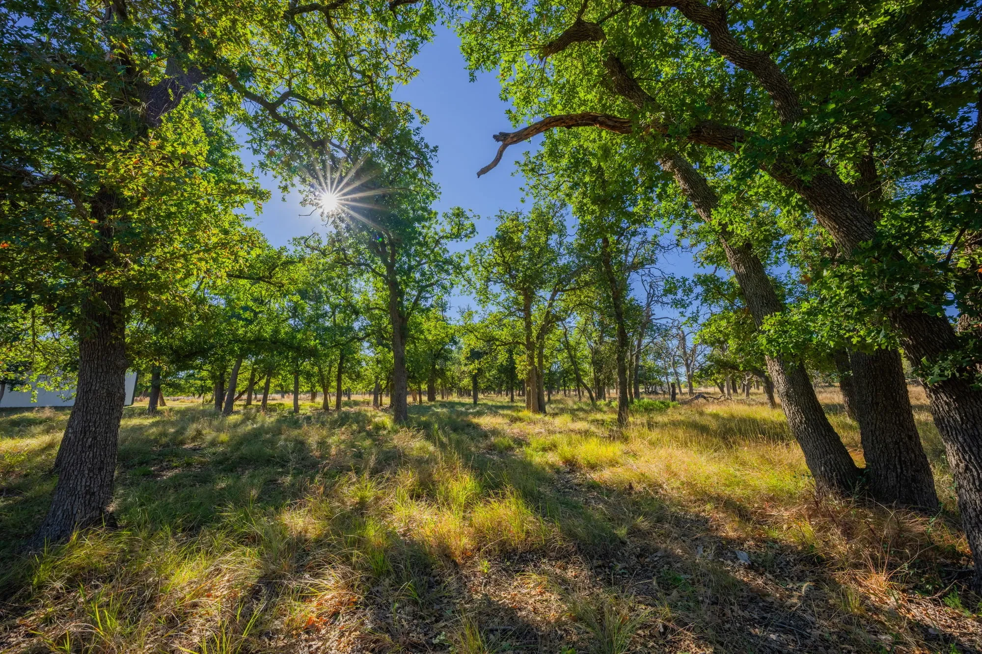 28 Ruger Road , Fredericksburg, TX 78624, Fredericksburg, Texas, United States. - Photo 11