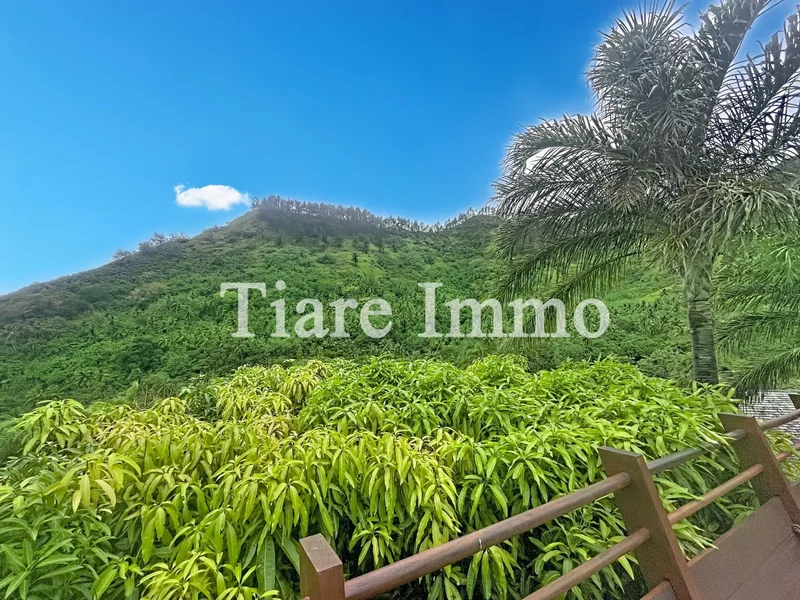 Moorea-Maiao, Moorea-Maiao, Moorea-Maiao, Windward Islands, French Polynesia. - Photo 19