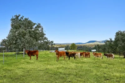 Thumbnail 18
