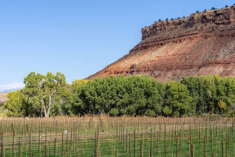 560 Vineyard Lane, Rockville, UT 84763, Rockville, Utah, United States. - Photo 76