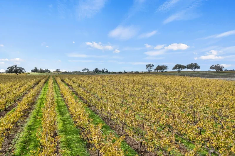 19301 Clements Road, Lodi, CA 95240, Lodi, California, United States. - Photo 4