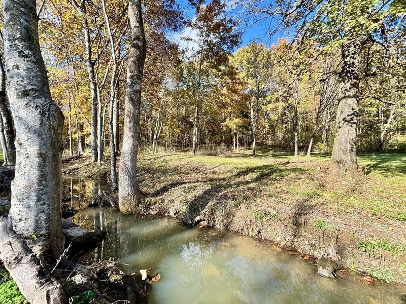4740 Ash Hill Rd, Spring Hill, Tennessee, United States. - Photo 64