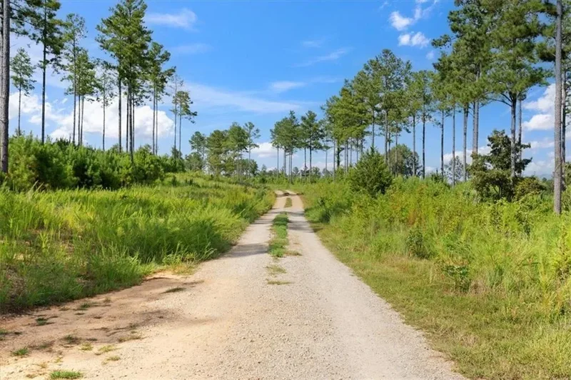 664 Wiggins Road, Lyerly, Georgia, United States. - Photo 53