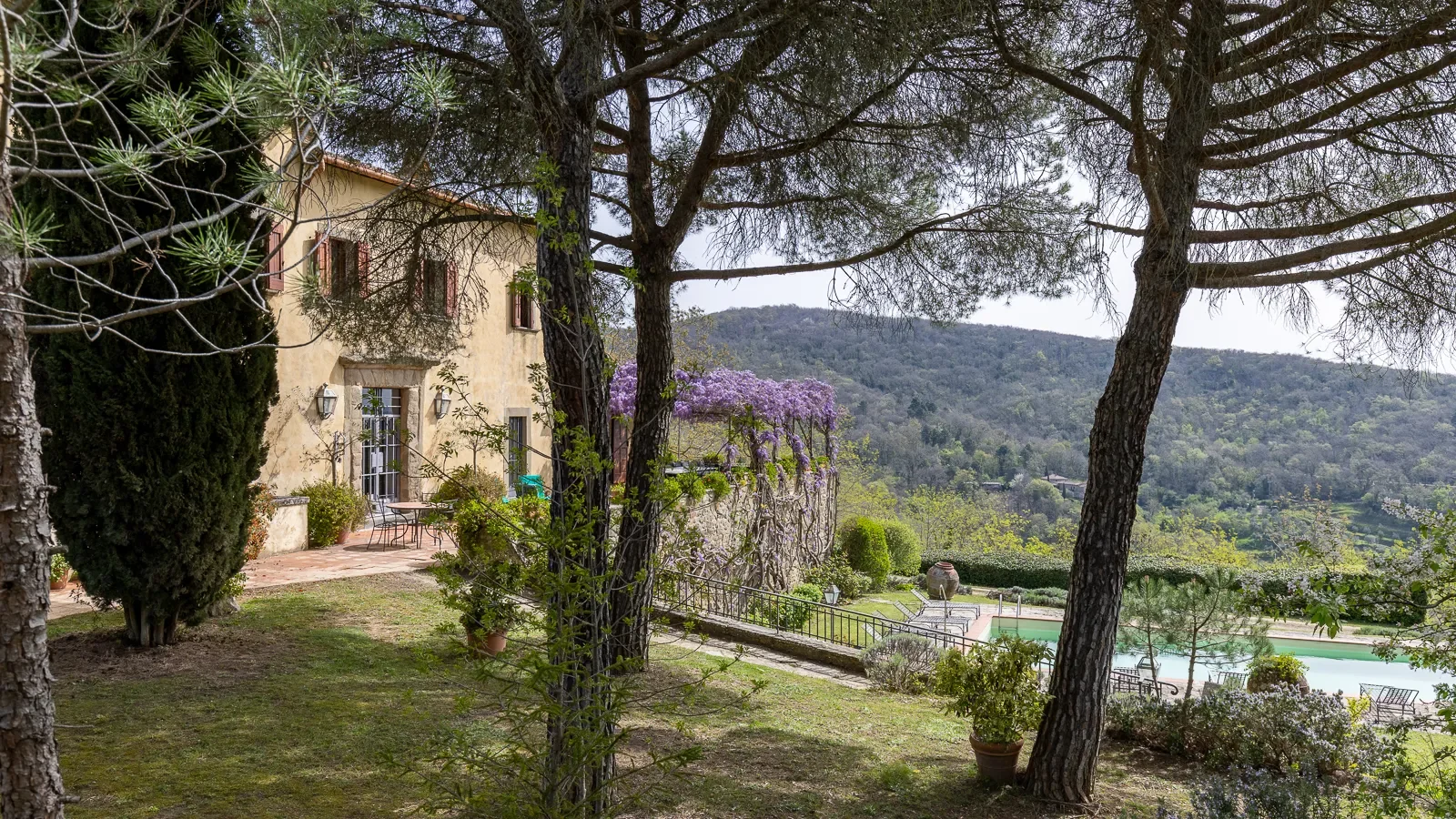 50022 Panzano, Metropolitan City of Florence, Italy, Panzano, Tuscany, Italy. - Photo 31